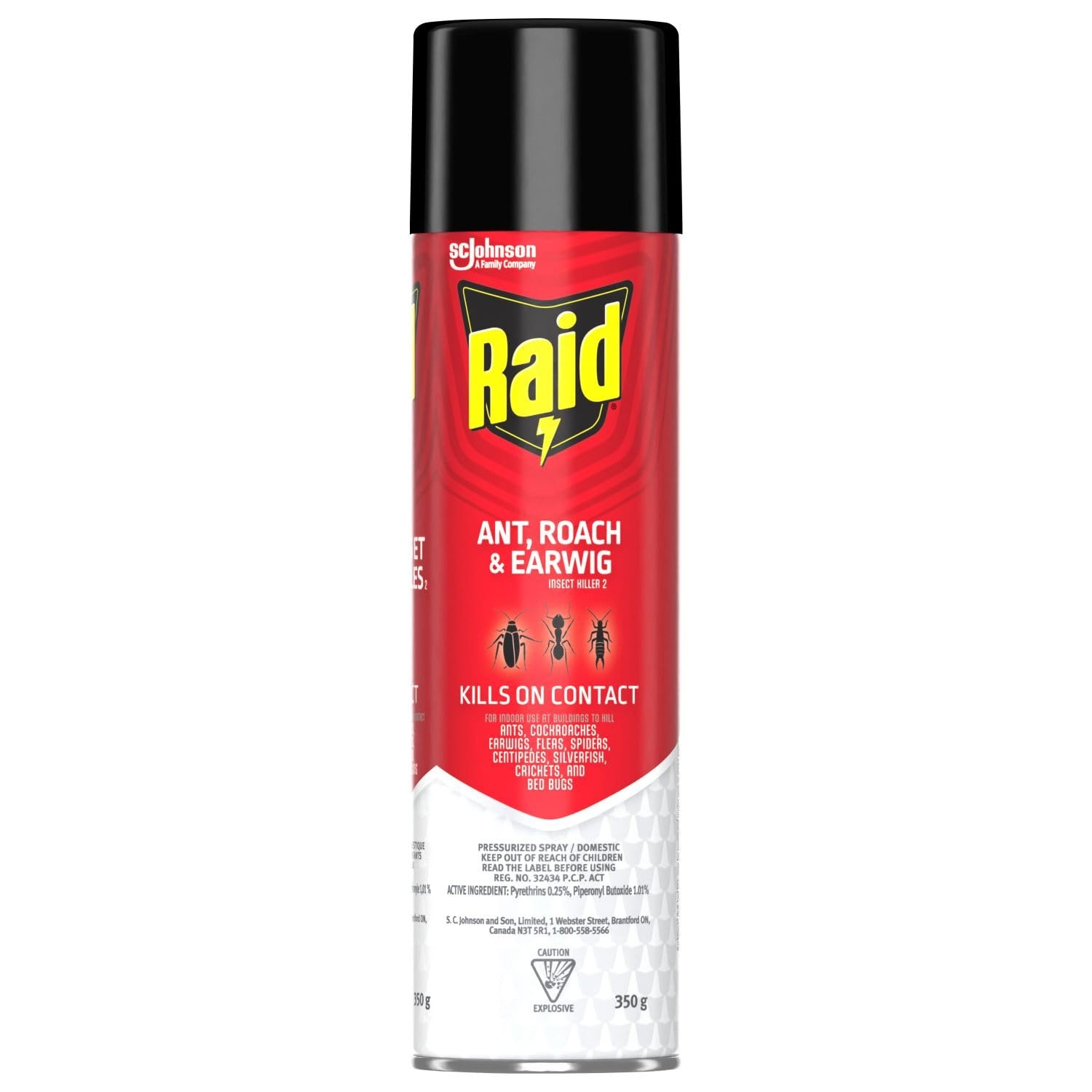 Raid Ant Roach and Earwig Insect Killer Spray 350g