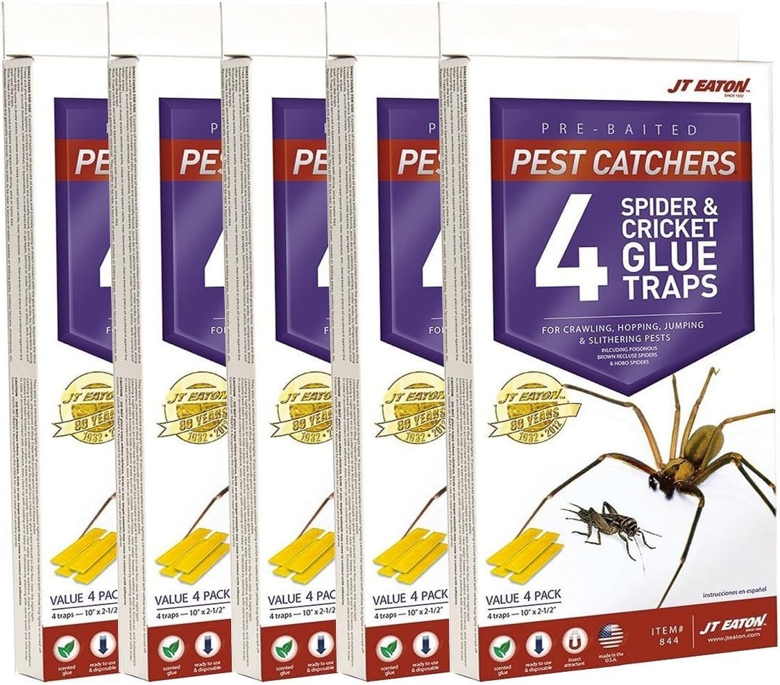 JT Eaton Spider and Cricket Glue Trap Pack of 5