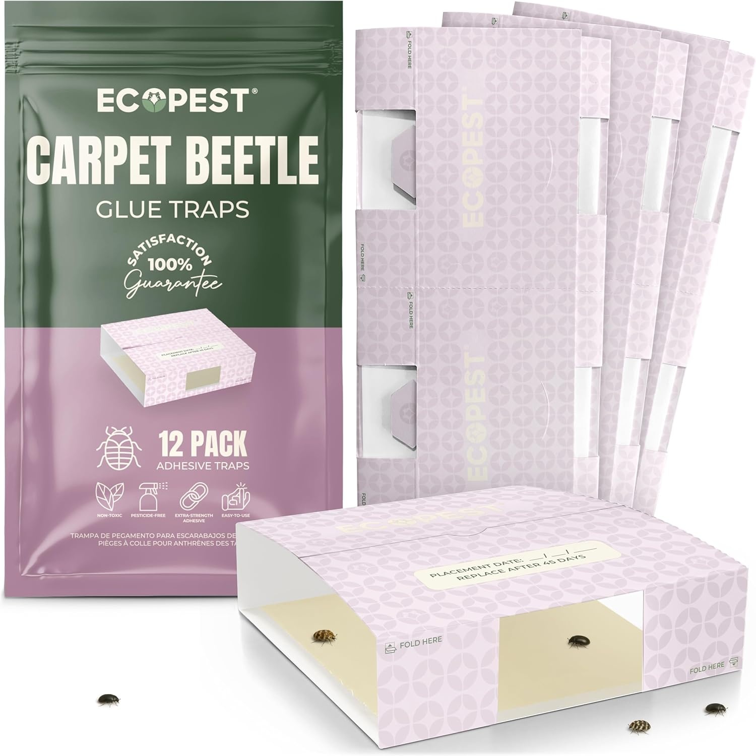 Carpet Beetle Glue Traps 12 Pack