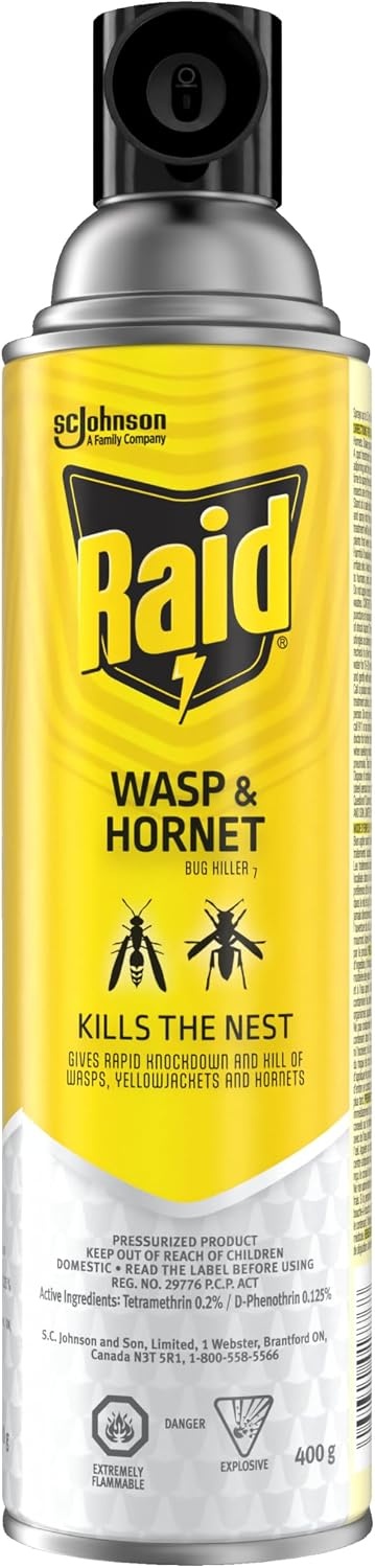 Raid Wasp and Hornet Killer, Wasp Killer Spray for Home Use Kills Bugs and Nests on Contact, Including Paper Wasps, Yellow Jackets, Mud Daubers and More, 400g (Pack of 1)